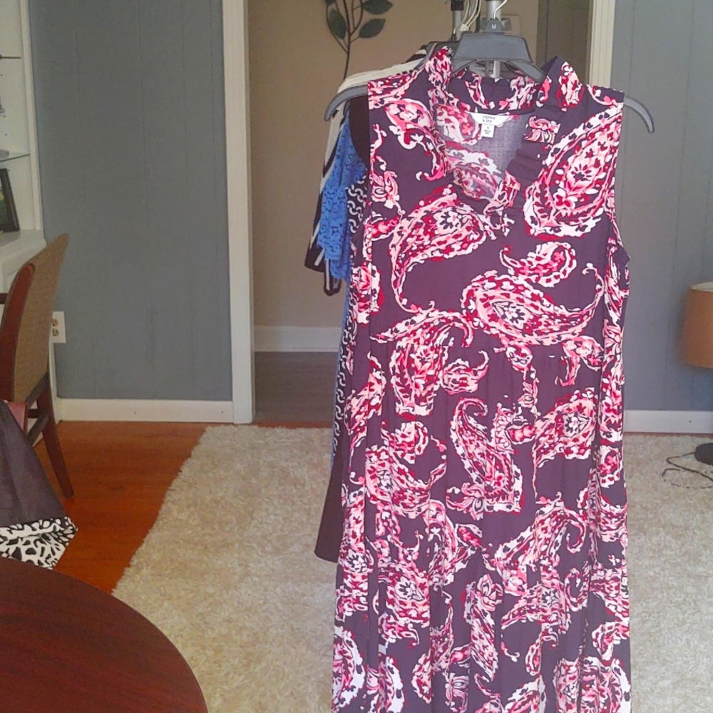 Crown & Ivy blue and pink dress size small